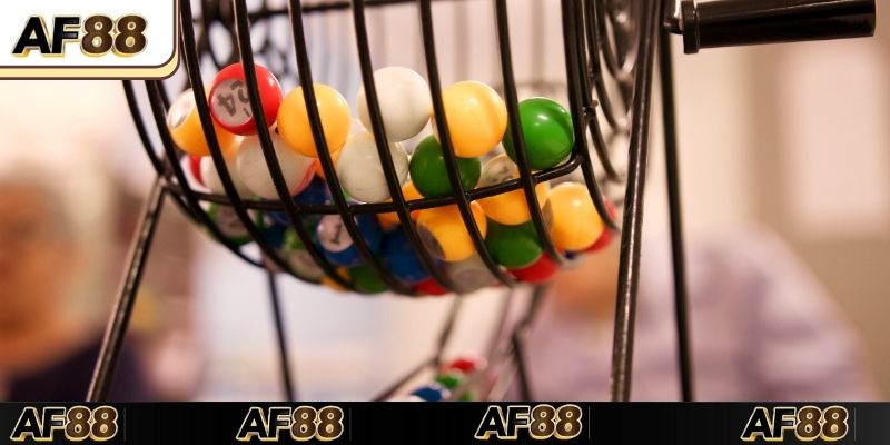 Một vài chú ý quan trọng cần nắm để tránh rủi ro khi nuôi lô