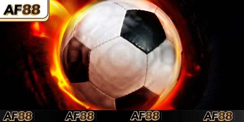 Những môn thể thao được người chơi ưa thích